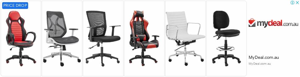 ergoduke chair