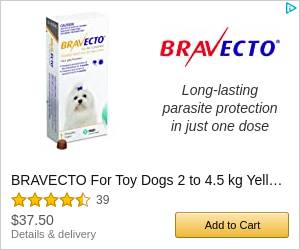 bravecto chew amazon