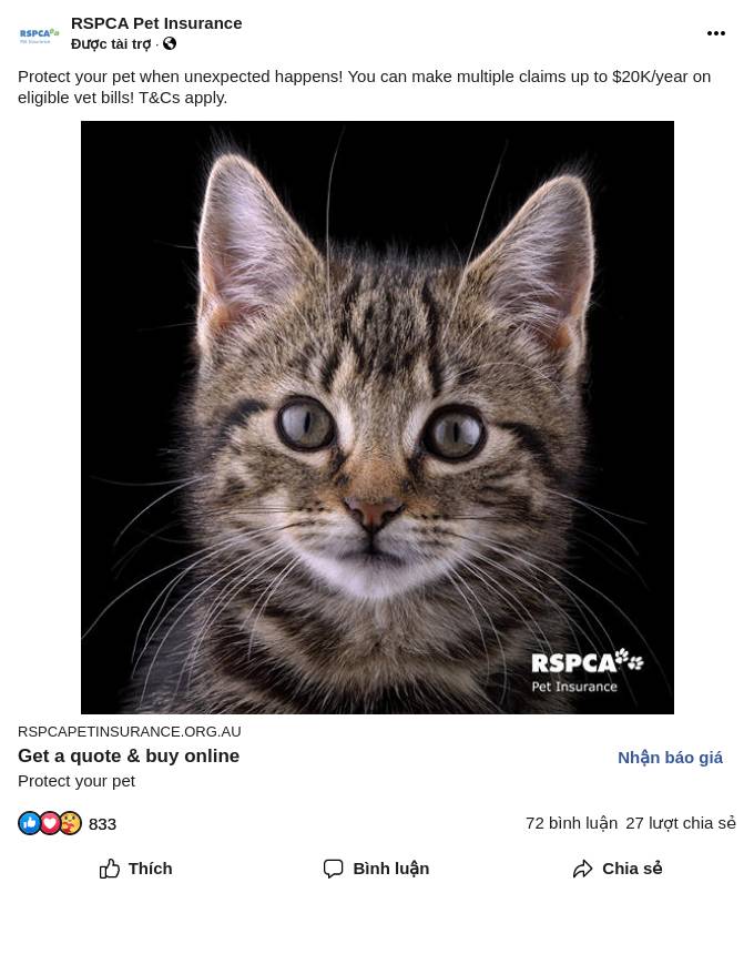 RSPCA Pet Insurance Ad Bigdatr