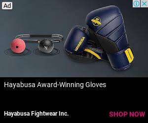 hayabusa boxing reflex ball kit