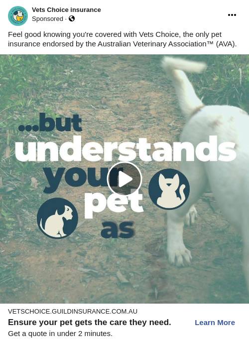 Vets Choice Ad Bigdatr