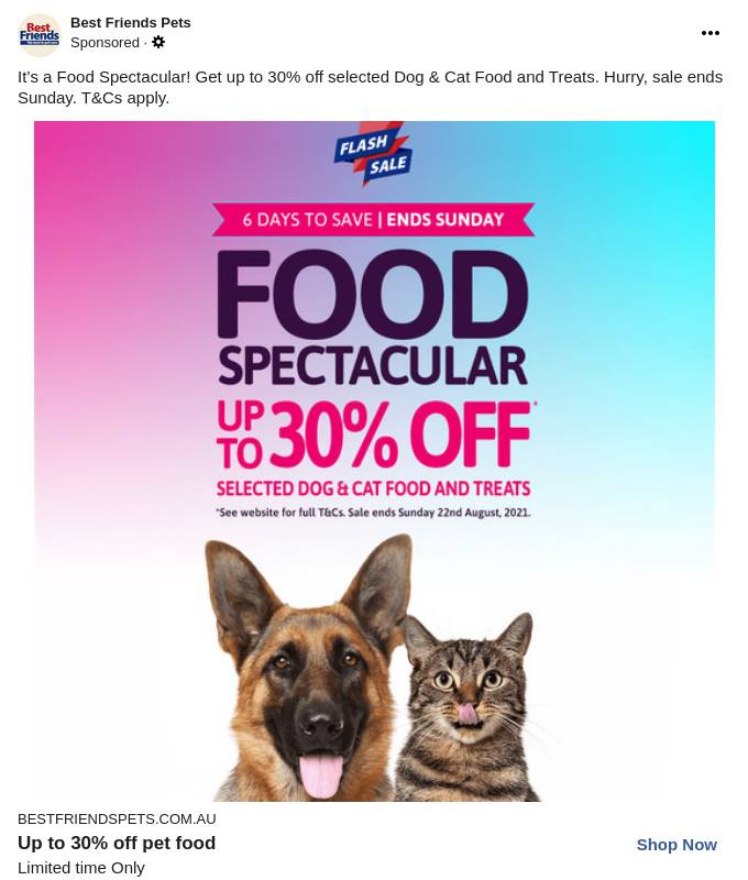 Best Friends Pets Ad Bigdatr