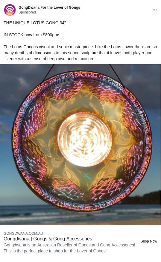 GongDwana Gongs & Gong Accessories Ad Bigdatr