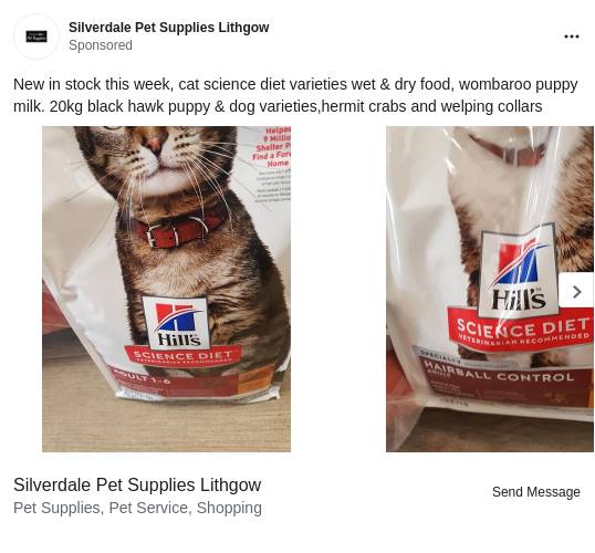 Silverdale Pet Ad Bigdatr