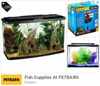 Petbarn 2024 betta fish