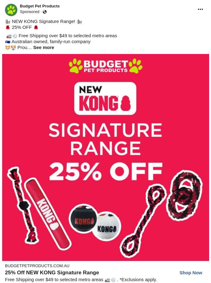 KONG Toys And Treats For Dogs Puppies Cats And Kittens Budget Pet