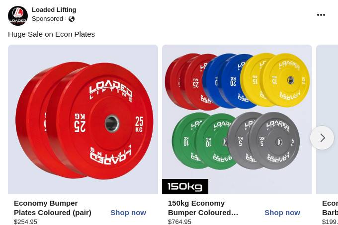 Economy Bumper Plates Coloured (pair) Weight Plates Loaded Lifting