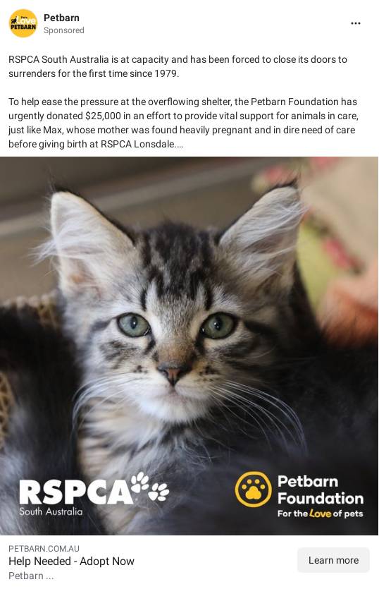 Petbarn Foundation Supports RSPCA SA Animals As Shelter Hits Crisis petbarn-foundation-supports-rspca-sa-animals-as-shelter-hits-crisis