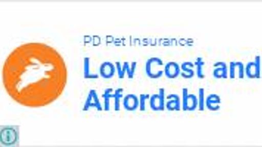 Pet Insurance Quotes Online in Australia - PD Insurance Ad