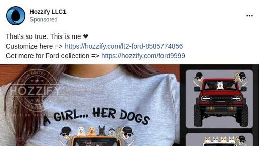 Ford Bronco 2021 a girl his dog her dog 