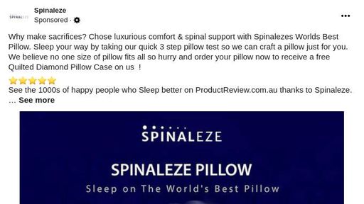 spinaleze pillow