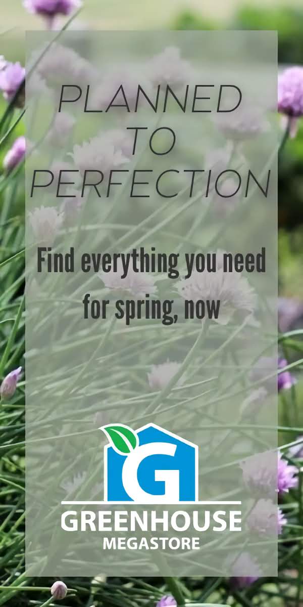 Greenhouse Megastore Ad Bigdatr