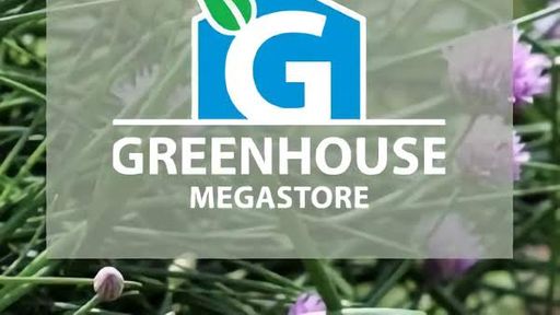 Greenhouse Megastore Ad Bigdatr   Ac4378333782 