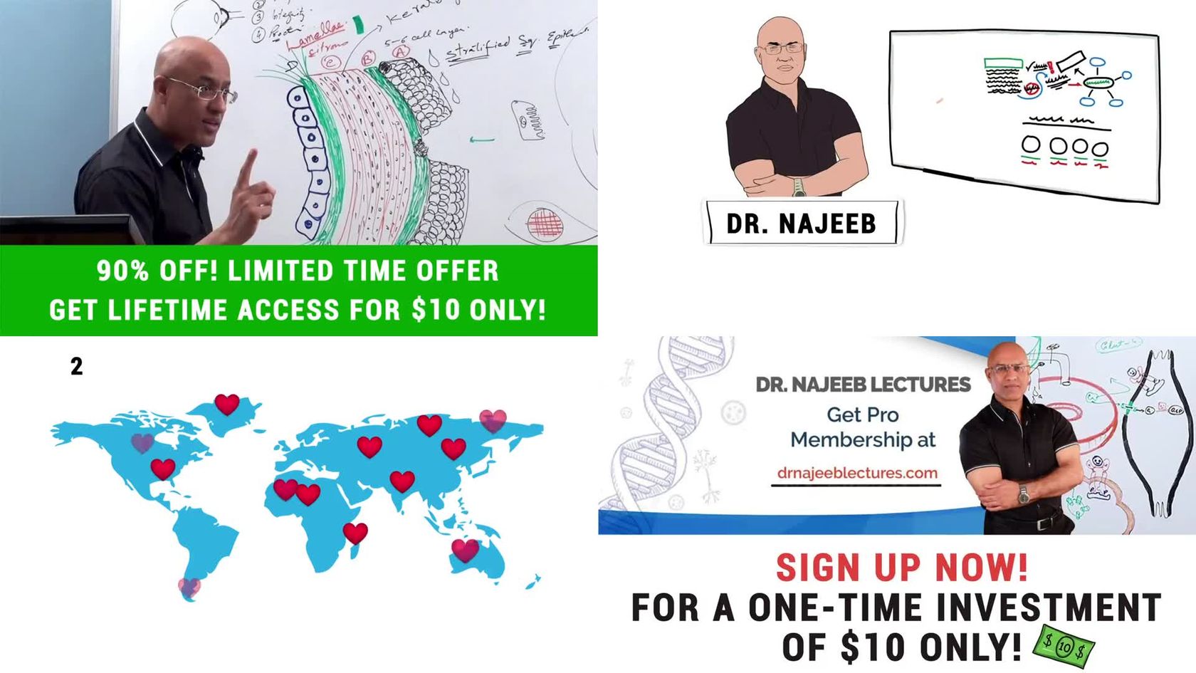 dr najeeb lectures pricing